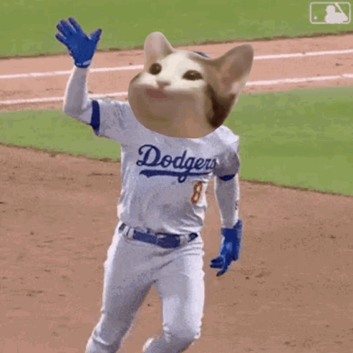 Dodgers Player with Cat Head Jersey