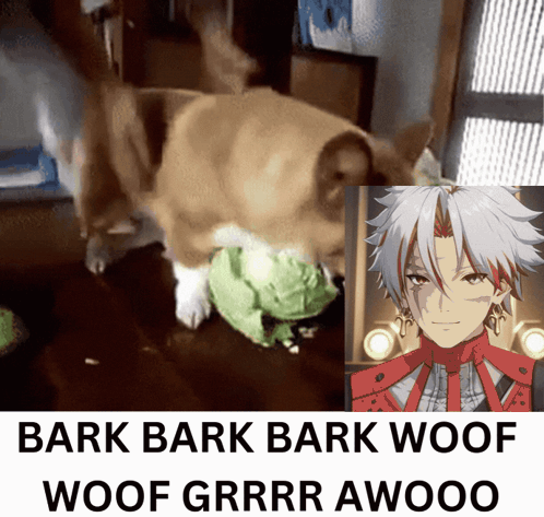 Dog and Boy Bark Bark Bark Woof Woof Grr Awooo