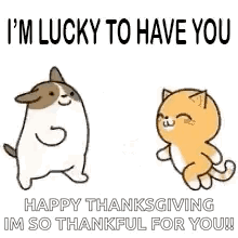 Dog and Cat Dancing