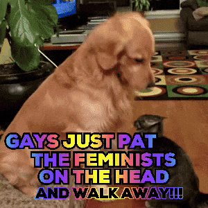 Dog And Cat Gays Just Pat The Feminists On The Head And Walkaway GIF