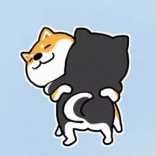 Dog and Cat Hugging