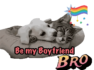 Dog and Cat Saying Be My Boyfriend Bro