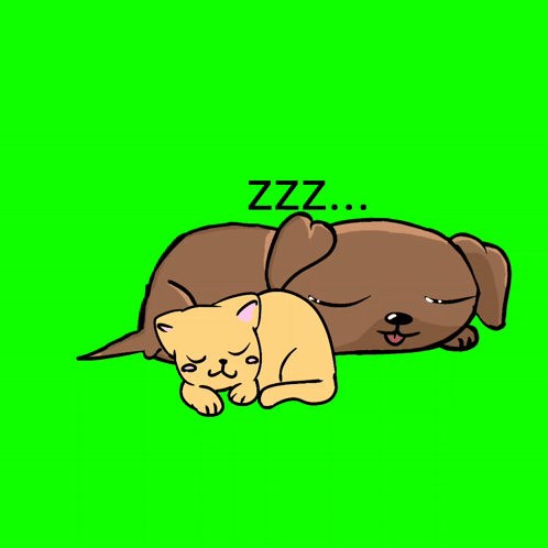 Dog and Cat Sleeping With Zzz Above