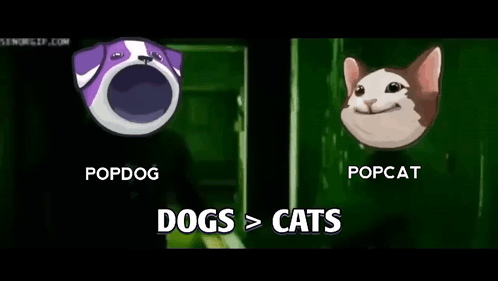 Dog And Cat With Mouths Wide Open GIF
