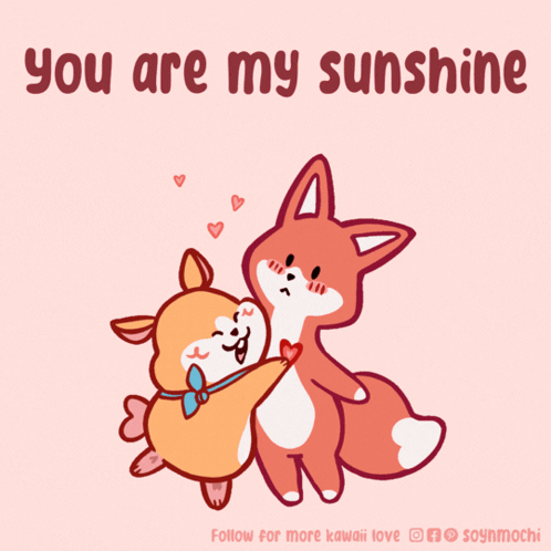 Dog and Fox Hugging Saying You Are My Sunshine