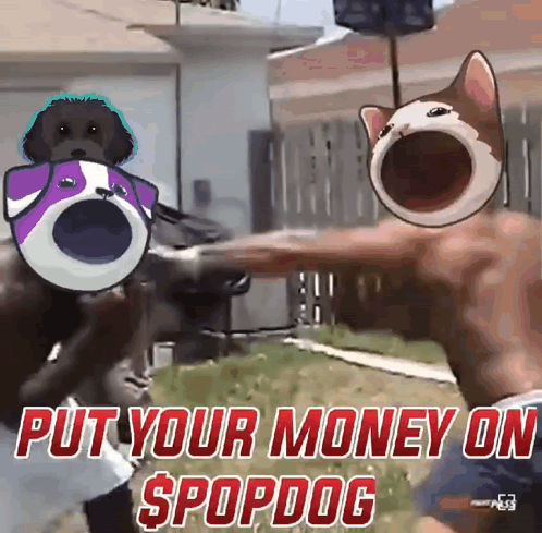 Dog And Man Saying Put Your Money On Spopdog GIF