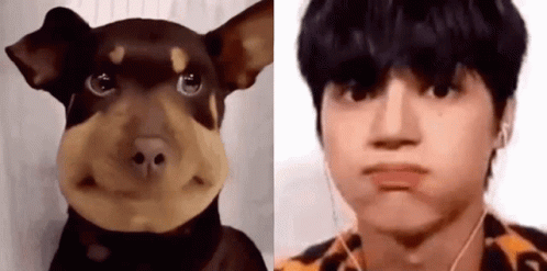 Dog and Man With Ear Buds