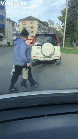 Dog And Owner Walking On The Street GIF