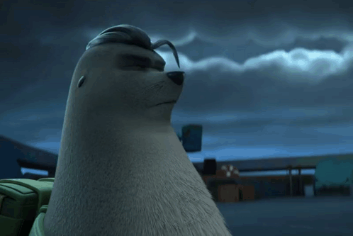 Dog and Seal Looking at Each Other