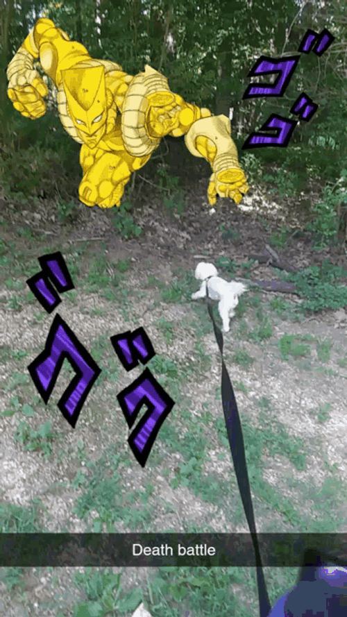 Dog And Za Warudo Death Battle GIF