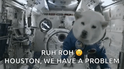Dog Astronaut Sitting In Space Station GIF