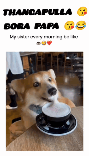 Dog at Table With Coffee Saying Thancapulla Bora Papa My Sister Every Morning Be L