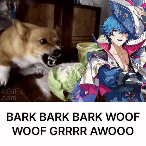 Dog Bark Bark Woof Woof Grrr Awooo