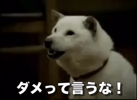 Dog Barking In Japanese Sound GIF