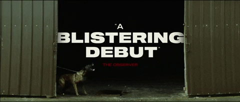 Dog Barking Sound Blistering Debut GIF