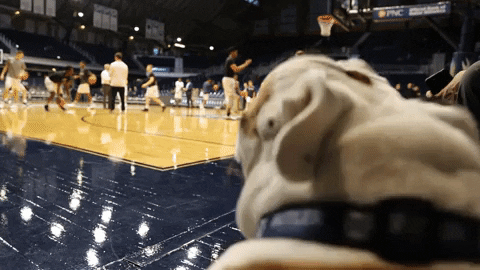 Dog Barking Sound In Basketball Court GIF