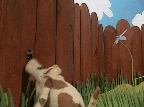 Dog Barking Sound In Small Hole GIF