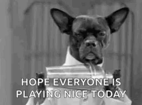 Dog Bartender GIF