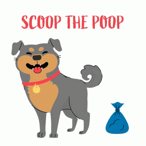 Dog Beside Poop Bag Saying Scoop the Poop