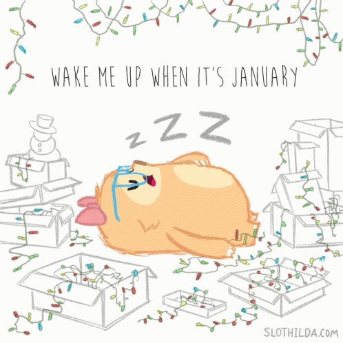 Dog Boxes Wake Me Up When It's January