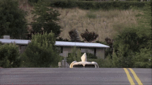 Dog Car Road Trip GIF