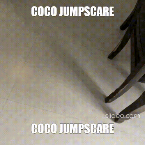 Dog Coco Jumpscare