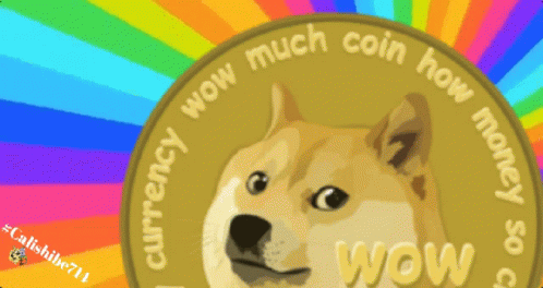 Dog Coin Saying Wow Much Money GIF