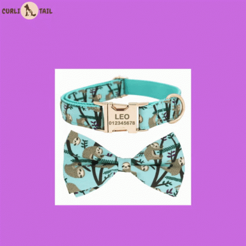 Dog Collar With USA Bow and Bow Tie