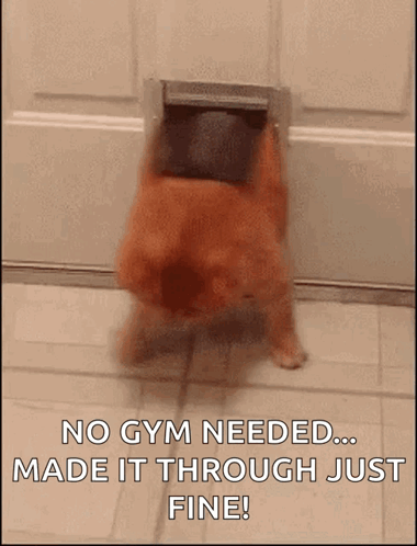 Dog Coming Out of Door Saying No Gym Needed