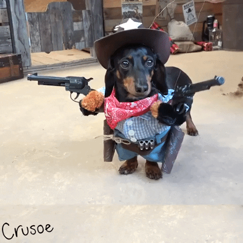 Dog Cowboy GIF
