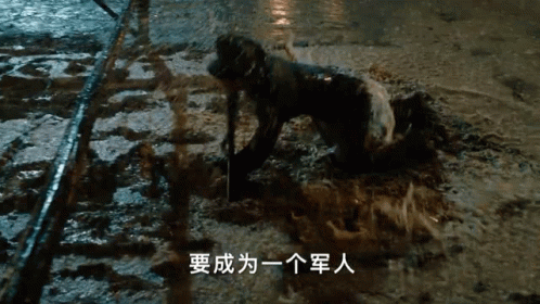 Dog Crawling In Mud With Chinese Writing GIF
