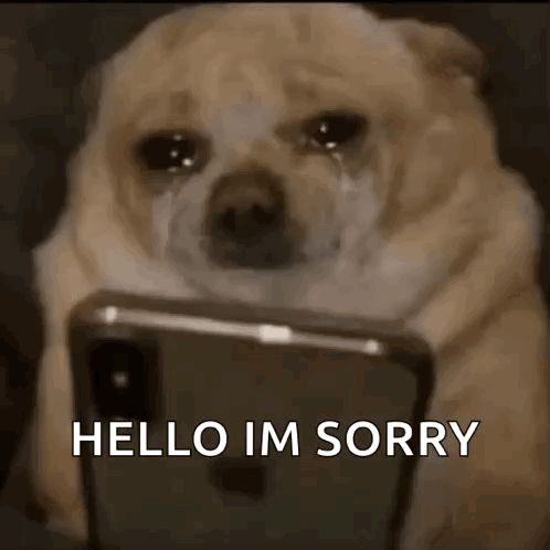 Dog Crying At Cell Phone Saying Hello Im Sorry GIF
