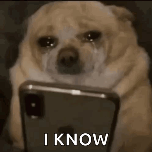 Dog Crying At Phone Saying I Know GIF