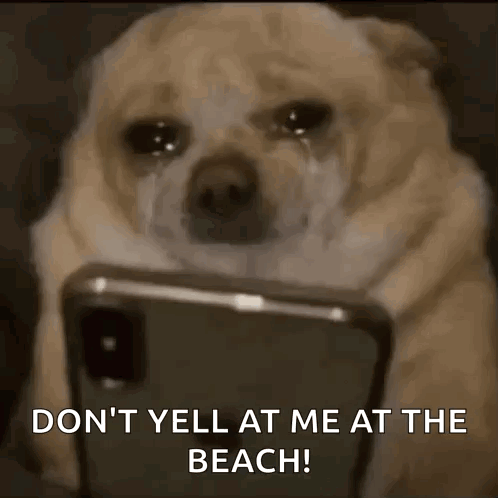 Dog Crying at Phone Says Don't Yell at Me at Beach