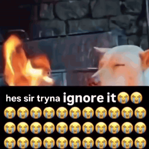 Dog Crying in Front of Fire Saying Hes Sir Tryna Ignore It