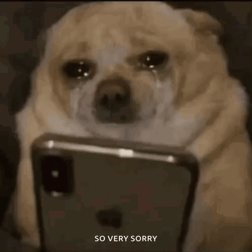 Dog Crying Looking at Cell Phone