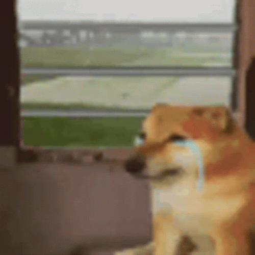 Dog Crying Sad Meme GIF GIFDB Dog Crying Sad Meme GIF GIFDB