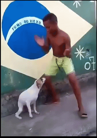Man And Dog Dancing GIF