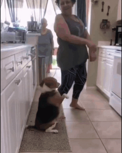 Woman And Dog Dancing GIF