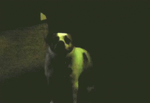 Dog Green Laser Dancing GIF