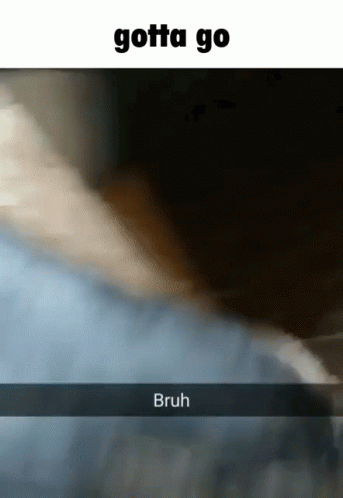 Dog Destroying Glass Gotta Go GIF