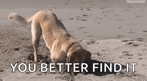 Dog Digging In Sand You Better Find It GIF