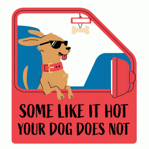 Dog Doesn't Want Too Hot Weather GIF
