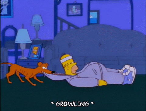 Dog Dragging Homer Simpson GIF