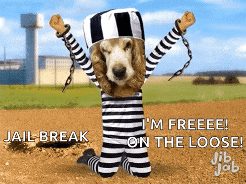 Dog Dressed As Prisoner Jail Break GIF