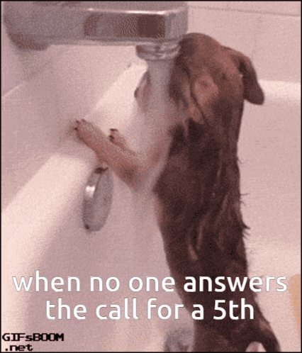Dog Drinking Water From Faucet
