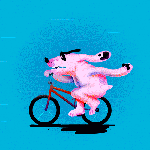 Dog Drive Bicycle Coming In Hot GIF