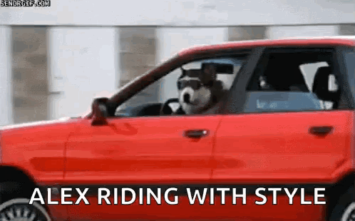 Dog Driving Red Car Alex Riding With Style