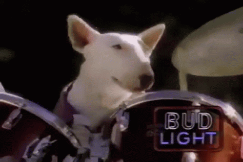 Dog Drummer Bud Light Drums GIF