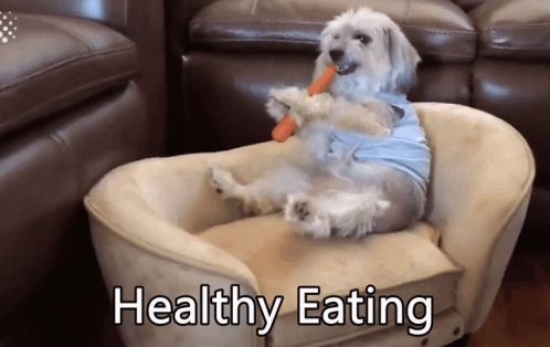 Dog Eating Carrot Healthy Eating
